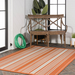Haynes Modern Double Stripe Indoor/outdoor Area Rug