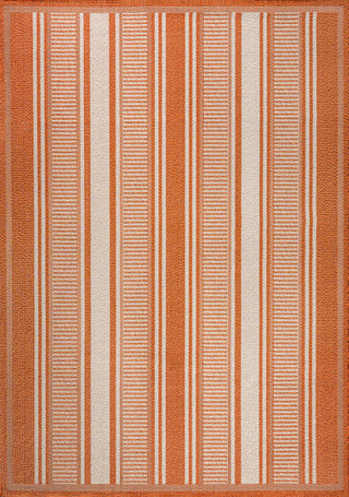 Haynes Modern Double Stripe Indoor/outdoor Area Rug