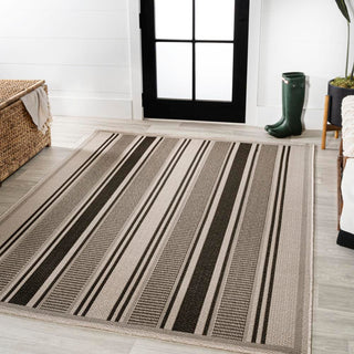 Haynes Modern Double Stripe Indoor/outdoor Area Rug