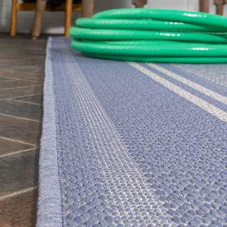 Haynes Modern Double Stripe Indoor/outdoor Area Rug
