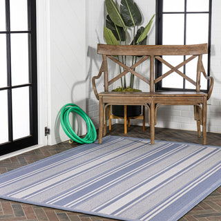Haynes Modern Double Stripe Indoor/outdoor Area Rug