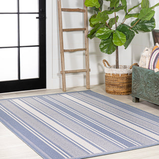 Haynes Modern Double Stripe Indoor/outdoor Area Rug