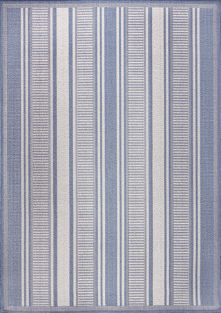 Haynes Modern Double Stripe Indoor/outdoor Area Rug