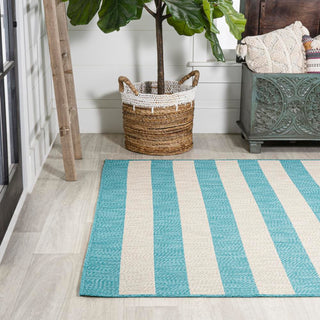 Negril Two-tone Wide Stripe Indoor/outdoor Area Rug