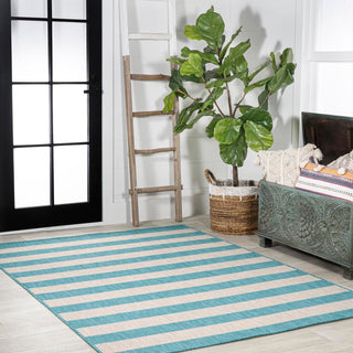 Negril Two-tone Wide Stripe Indoor/outdoor Area Rug