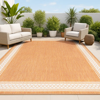 Lucia Classic Diamond Border Indoor/outdoor Area Rug