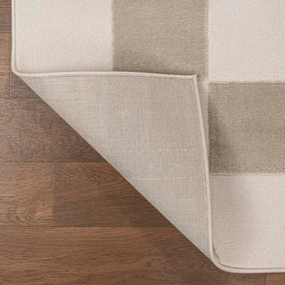 Hand Modern Geometric Checkerboard High-Low Area Rug - JONATHAN Y
