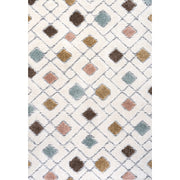 Astrid Retro Trellis High-low Area Rug
