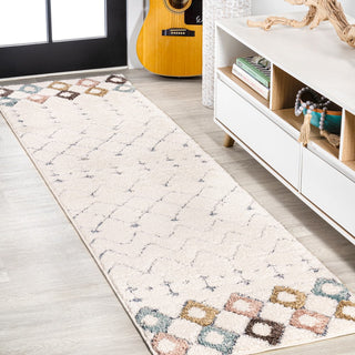 Pia Moroccan Trellis Plush Carved Area Rug