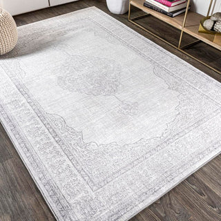 Mughal Ornate Medallion Traditional Area Rug - JONATHAN Y