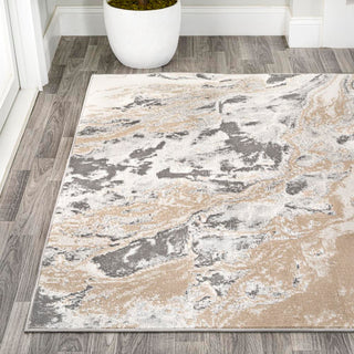 Swirl Marbled Abstract Area Rug
