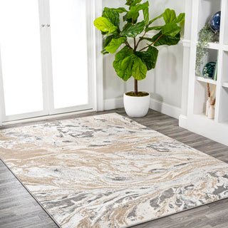 Swirl Marbled Abstract Area Rug