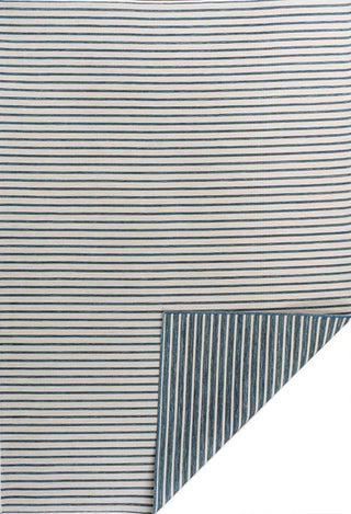 Damon Classic Coastal Pinstripe Reversible Machine-Washable Indoor/Outdoor Area Rug - JONATHAN Y