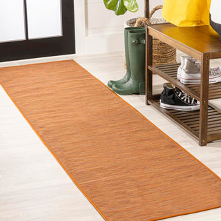 Ethan Modern Flatweave Solid  Area Rug