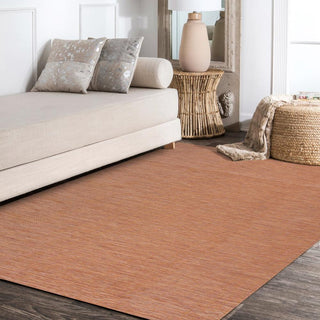 Ethan Modern Flatweave Solid  Area Rug