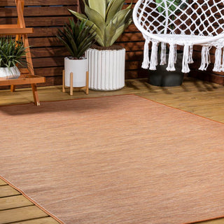 Ethan Modern Flatweave Solid  Area Rug