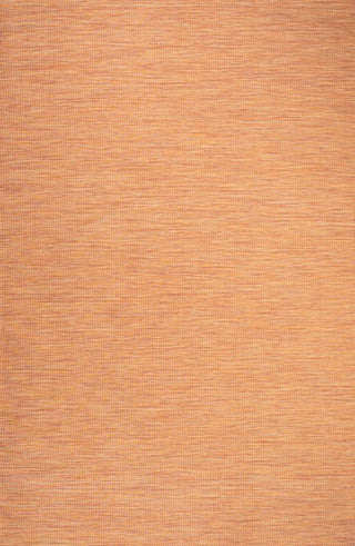Ethan Modern Flatweave Solid  Area Rug