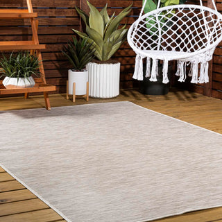 Ethan Modern Flatweave Solid  Area Rug