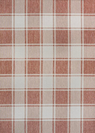 Sabine Traditional Farmhouse Bold Gingham Area Rug - JONATHAN Y