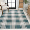 Sabine Traditional Farmhouse Bold Gingham Indoor/Outdoor Area Rug