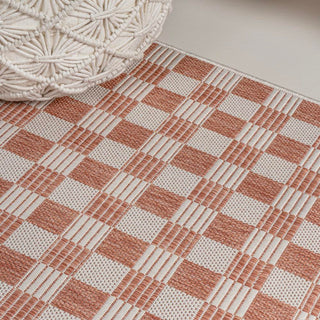 Aimee Traditional Cottage Checkerboard Indoor/Outdoor Area Rug - JONATHAN Y