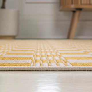 Aimee Traditional Cottage Checkerboard Indoor/Outdoor Area Rug