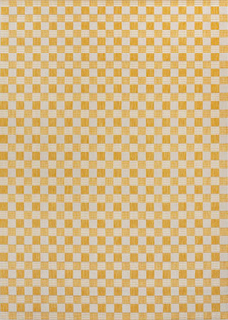 Aimee Traditional Cottage Checkerboard Indoor/Outdoor Area Rug