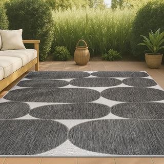 Rayna Modern Geometric Organic Shapes Indoor/Outdoor Area Rug