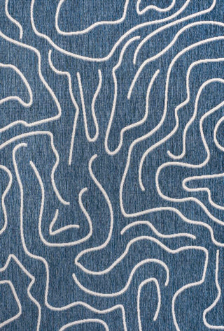 Nolan Modern Coastal Organic Shapes Indoor/Outdoor Area Rug