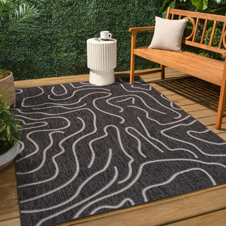 Nolan Modern Coastal Organic Shapes Indoor/Outdoor Area Rug