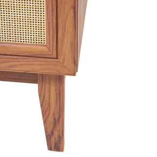 Javer Rattan Modern Farmhouse 2-Shelf Bath Vanity Cabinet Only (Sink Basin not Included)