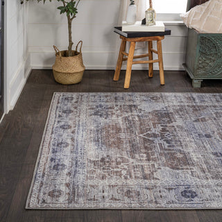 Alanya Ornate Medallion Washable Area Rug