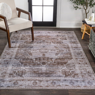 Alanya Ornate Medallion Washable Area Rug