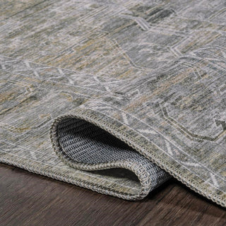 Alanya Ornate Medallion Washable Area Rug