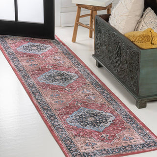 Alacati Ogee Medallion Washable Area Rug