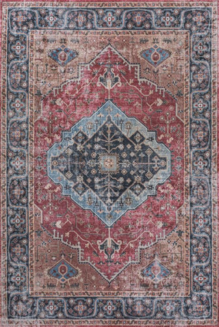 Alacati Ogee Medallion Washable Area Rug