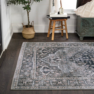 Alacati Ogee Medallion Washable Area Rug