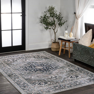 Alacati Ogee Medallion Washable Area Rug