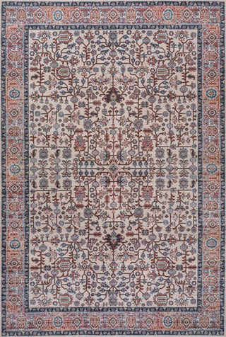 Kemer All-over Persian Washable Area Rug