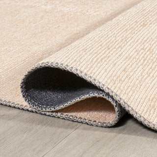 Demie Minimalist Graphic Circle Machine-washable Area Rug