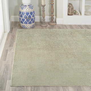 Twyla Classic Solid Low-Pile Machine-Washable Area Rug