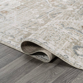 Shaii Global Medallion Low-Pile Machine-Washable Area Rug - JONATHAN Y