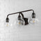 Sandrine Iron/Seeded Glass Cottage Rustic LED Vanity Light