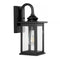 Cary 5.9" Iron/Glass Traditional Modern Lantern LED Outdoor Lantern