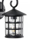 Cadiz 6" Iron/Seeded Glass Cottage Rustic Scrolled Lantern LED Outdoor Lantern