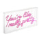 You're Like Really Pretty Contemporary Glam Acrylic Box USB Operated LED Neon Light